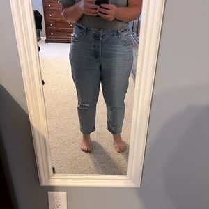 Wild Fable High Rise Mom Jean